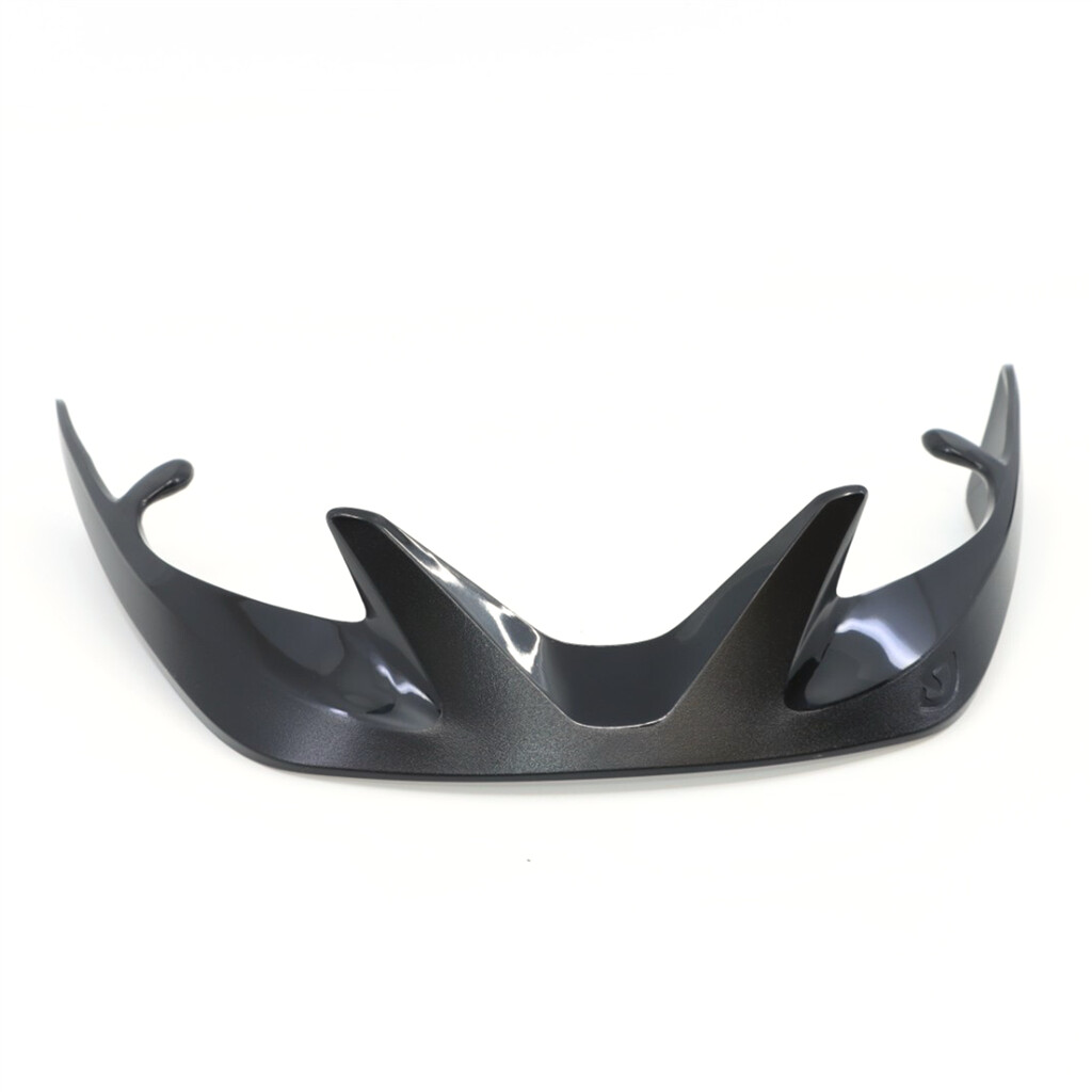 Giro Cycling - Register Visor - black/silver