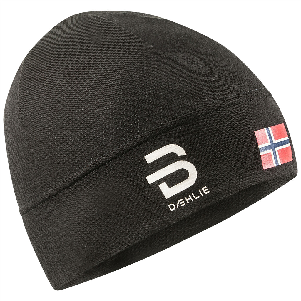 Daehlie - Hat Mesh - black