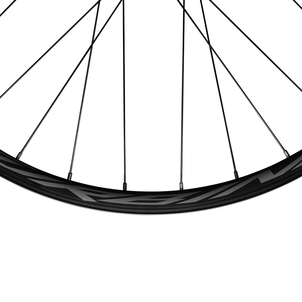 Race Face - Turbine 30 ALU E-MTB CLN 6 Bolt Wheel V2 - black - 29"/15x110